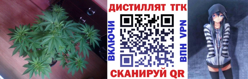 ТГК концентрат  Купить где  Озёры 